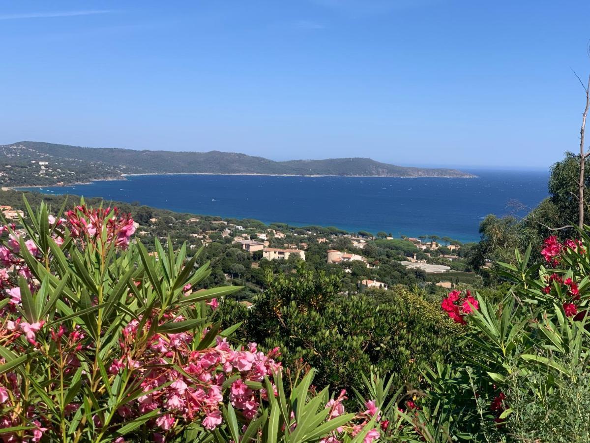 Villa Cacharelle Vue Mer Piscine Cavalaire-sur-Mer Zewnętrze zdjęcie